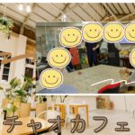 【活動報告】事業所内で「チャオカフェ」開店!接遇マナーを体験から実践へ