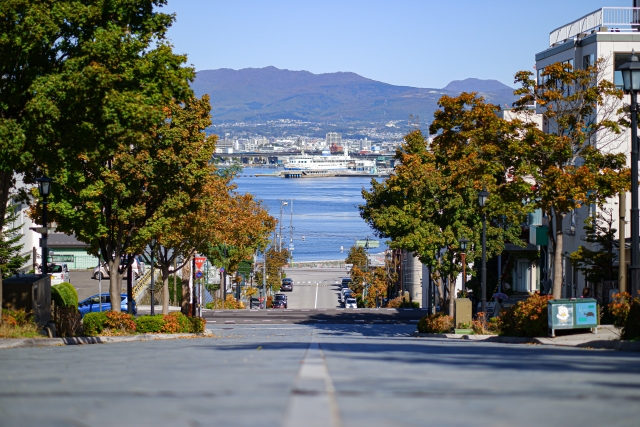 オンライン街歩きでの函館の街並み